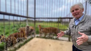 "Это ВЕЛИКОЕ СЧАСТЬЕ, что я отдал своих тигров в Тайган!"- Николай Карпович Павленко.