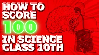 how to score 100 in science (no bs guide)