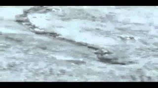 AMAZING The Iceland Worm Monster ( Lagarfljóts Worm ) Nessie  06.02.2012.mp4.flv