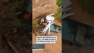 Imagens mostram resgate de casal e cachorro em cima de destroços em cidade do RS