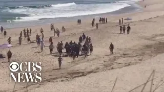 Man dies after shark attack on Cape Cod