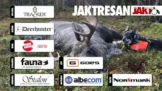 Jaktresan: På jakt efter stortjuren