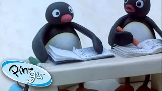 Pingu Goes To School! @Pingu Cartoons For Kids