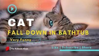 Cat fall down in the bathtub |  Very funny moment | #shorts