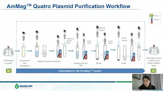 Automated Tools to Achieve Consistency, Reliability and Efficiency for Plasmid and Protein Puri...