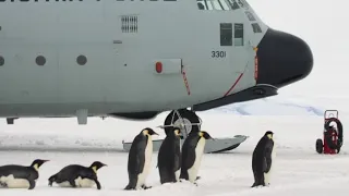 116. Extrém reptér: landolás jégen és a körbezárt légikikötőben