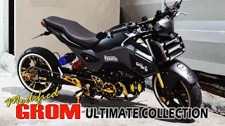 HONDA GROM (MSX125) Lowered and Stretched Modifications