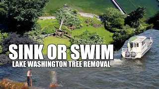 Lake Washington Tree Removal