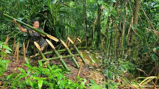 Survival, skills to detect black panthers attacking people, skills to trap wild boars, FULL VIDEO