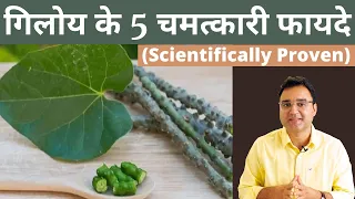 Giloy Benefits: गिलोय के 5 सबसे बड़े फायदे और प्रयोग करने की सही विधि