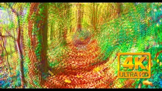 Magic/psilocybin mushroom trip simulation (4k visuals)