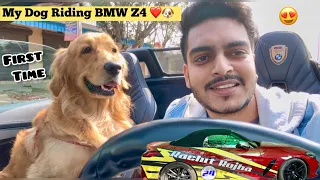 My Dog Riding BMW Z4 ❤️🐶 First Time 😍 Insta Diwali pe Super Car me Ghar Aagya 🔥🚀