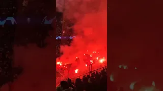 Pyro Bayern Munchen Fans in Paris - Parc Des Princes #fcbayern#bayernmunich#münchen#munich#psg#ucl