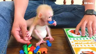 Bibi monkey playing parcheesi with Dad