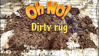 Effective methods of washing dirty rugs