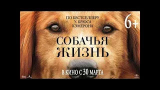 ТОП 10 ЛУЧШИХ СЕМЕЙНЫХ ФИЛЬМОВ 2017