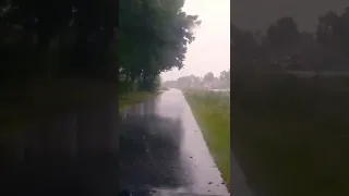 Raining 🌧 @Giethoorn