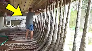 GRABE! May Ganito Palang Mga Factory Ng Pagkain | Snake Farming,Crocodile Farming,Turtle Farming Etc