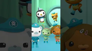 Octonauts   The Mantis Shrimp |#octonauts #ytshort