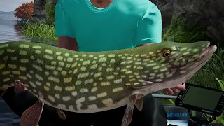 Fishing Sim World  ПРОСТАЯ ЩУКА Новый РЕКОРД!
