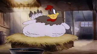 Tom & Jerry | Classic Cartoon | Fine Feathered Friend