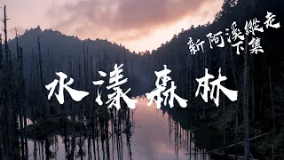 【水漾森林】新阿溪縱走下集|美哭火燒雲|絕美仙境|最夢幻的登山路線|圓糖混哪裡全新登山冒險節目!