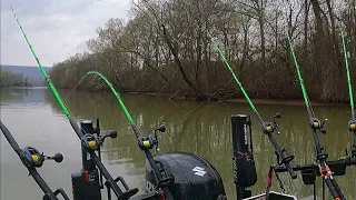 MONSTER FISH Live In This BACKWATER CREEK!! (Spring Fishing)