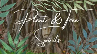 How To Work With Plant Spirits & Tree Spirits || Developing Plant Allies || Witchcraft + Shamanism