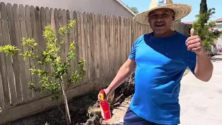 La cocinera de Jalisco muy contenta con su jardín .