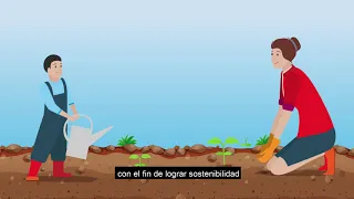 ¿Qué es la degradación de los suelos?