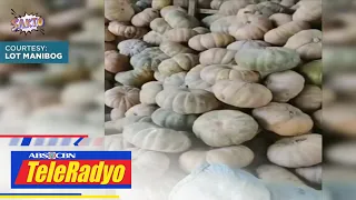 DA: Mga kalabasa mula sa Nueva Ecija ibinagsak sa mga palengke sa Metro Manila, Kadiwa stores