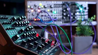Generative Modular Ambient - Mutable Instruments Marbles, Plaits, and Beads