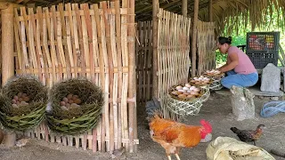How to use bamboo to make nests for chickens to lay eggs.