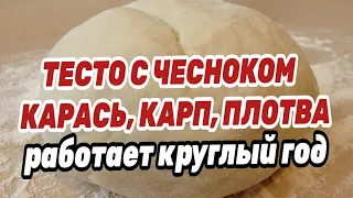 ТЕСТО ДЛЯ РЫБАЛКИ С ЧЕСНОКОМ НА КАРАСЯ. РАБОТАЕТ КРУГЛЫЙ ГОД ! Проверено !!