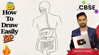 How to draw Human Alimentary Canal step by step for beginners !
