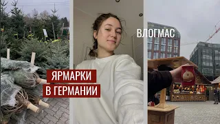 РОЖДЕСТВЕНСКИЕ ЯРМАРКИ в Германии, КУПИЛИ ЁЛКУ | VlogMas#2