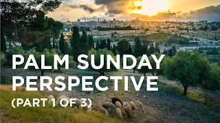 Palm Sunday Perspective (Part 1 of 3) - 03/28/23