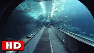 The Chunnel - World's Longest Underwater Tunnel - History Channel HD