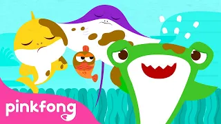 Say I'm Sorry | Kids Healthy Habits Song | Baby Shark's Day at School | Pinkfong Official