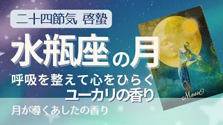 水瓶座の月🌝呼吸を整えて心をひらく🌿ユーカリの香り【春分の日に向けデトックス】体が先か、部屋が先か、いらない物を捨てていこう