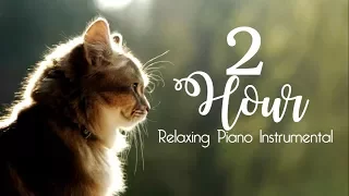 2 HOUR Relaxing Piano Instrumental ( BEST OF ANDRE GAGNON ) - Music for Studying, Sleep, Meditation