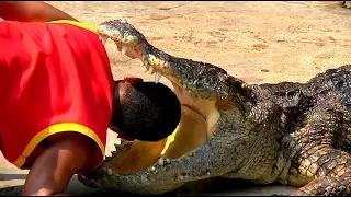 Тайланд - Крокодиловая ферма ( Thailand - Crocodile farm) Full HD видео