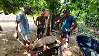 Churrasco de PORCO no SÍTIO.