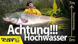 Achtung Hochwasser!!! | Welsangeln im Wald | 100 Kilo schwere Waller sind auf der Jagd