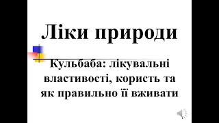 Кульбаба: лікувальні властивості, користь та як правильно її вживати