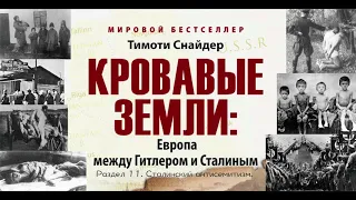 Раздел 11  Сталинский антисемитизм Кровавые земли Европа между Гитлером и Сталиным