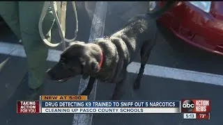 Pasco K9 deputy sniffs out drugs at area schools