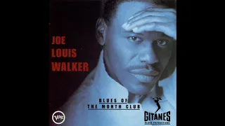 Joe Louis Walker  - Bluesiflyin'