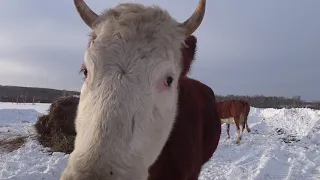 #136: А че это вы тут делаете?)