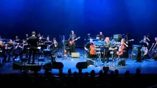 John Cale - The Endless Plain of Fortune (Live with orchestra)